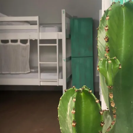 Gæstehus Lion By Kitesurf *