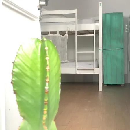 Lion By Kitesurf Tarifa