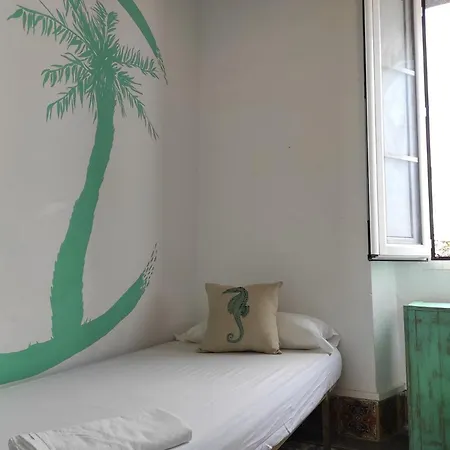 Lion By Kitesurf Konukevi