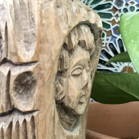 ゲストハウス Lion By Kitesurf *