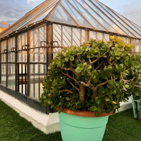 Lion By Kitesurf * タリファ