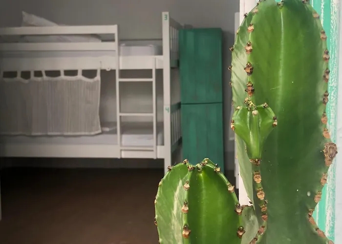 Гостевой дом Lion By Kitesurf *