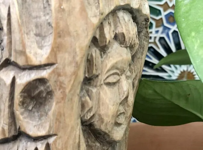 ゲストハウス Lion By Kitesurf *